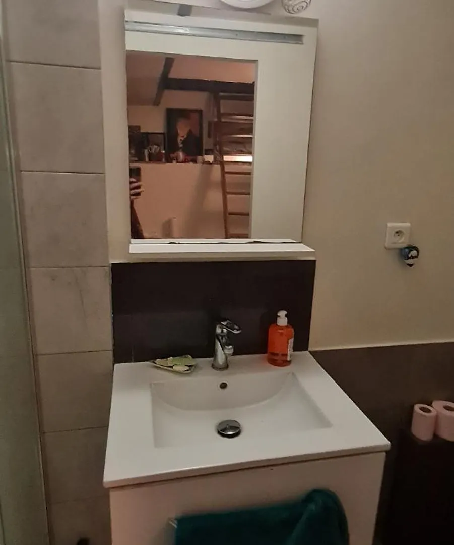Souplex In Montmartre Apartment Paris